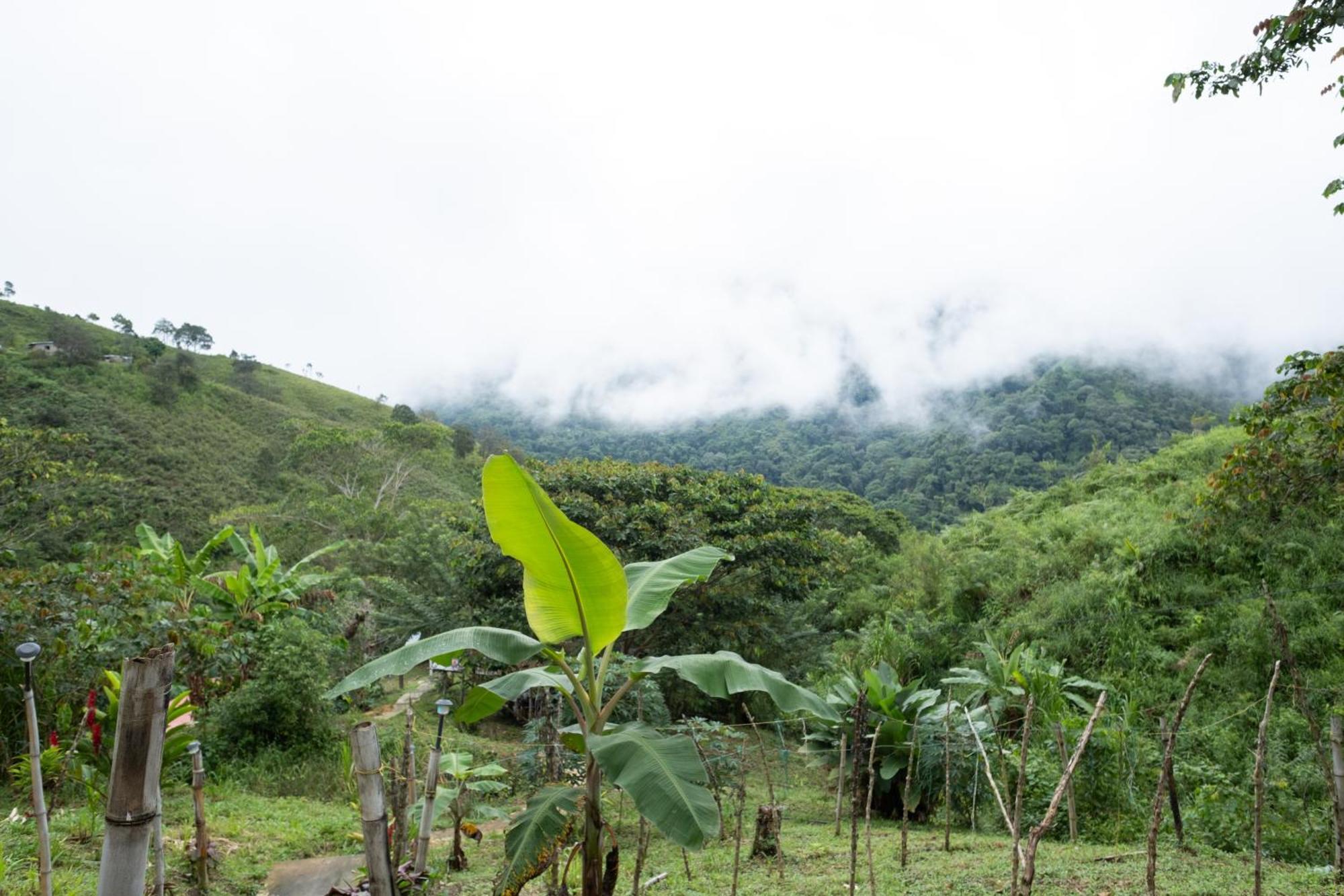 Paraiso De La Sierra * Santa Marta (Magdalena)